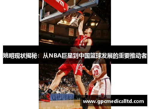 姚明现状揭秘：从NBA巨星到中国篮球发展的重要推动者